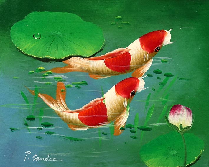 Animal Underwater World 48